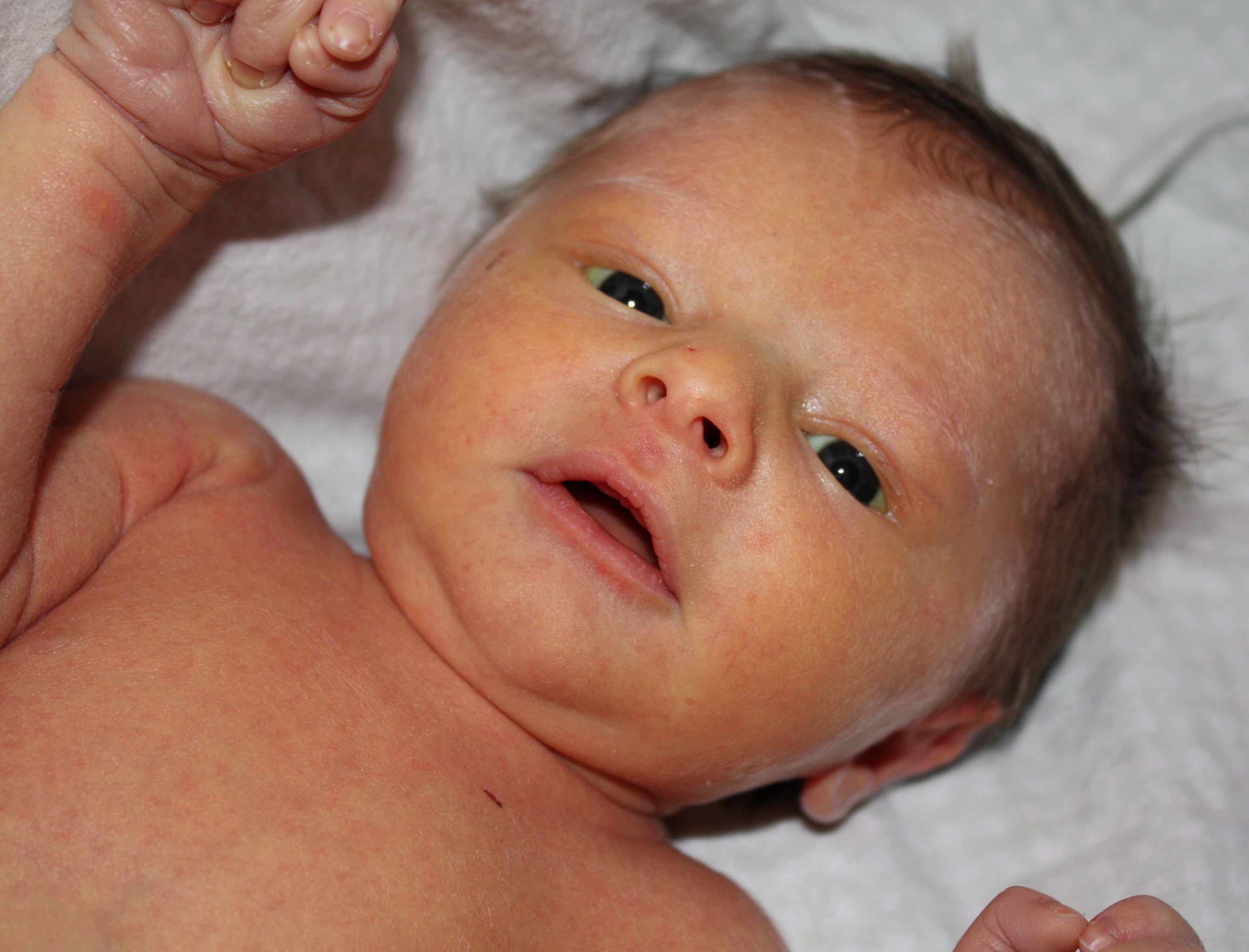 What To Eat During Pregnancy For Baby Boy