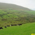 Ireland Irish countryside