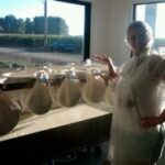 Cheese produced on dairy farm