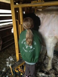 Dairy care