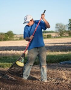 Working in the Garden garden