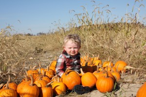 baby sits with pumpkins 