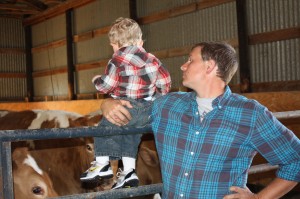 baby cows barn gate