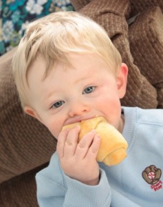 Blue eating a roll. baby eats crescent roll