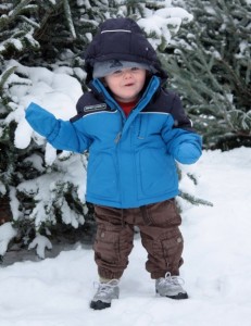 Christmas Tree farm toddler with Christmas trees