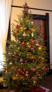 Decorated Christmas tree decorated real Christmas tree
