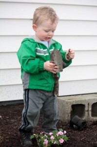 Planting toddler plants flowers