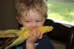 Blue east sweet corn sweet corn, toddler