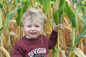 toddler, corn