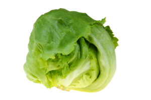 Iceberg lettuce