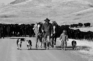 Low Res Lauren ranch rural lifestyle book