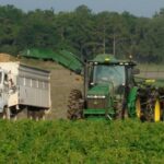 Farm to food plate