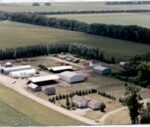 Potato farm grows from 10 acres