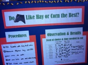 Farm kids tell their story