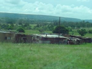 local food & hunger