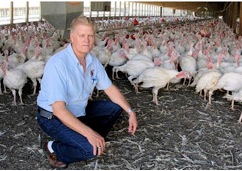 TurkeyFarm1 Harley Sietsema turkey producer